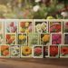 découvrez notre calendrier de l'avent semences de fleurs pour un jardin coloré et épanoui toute l'année. chaque jour, une surprise florale à planter et admirer.