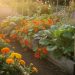 découvrez quelles fleurs privilégier pour dépolluer naturellement votre jardin potager et protéger vos cultures tout en embellissant votre espace vert.