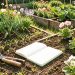 Jardin familial lumineux au printemps avec outils de jardinage, jeunes plantations, carnet d’observation vierge et massifs de fleurs variés.