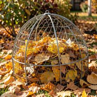 Petit jardin d’automne lumineux avec une cage en grillage galvanisé remplie de feuilles mortes dorées, entourée de feuilles au sol.