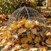 Petit jardin d’automne lumineux avec une cage en grillage galvanisé remplie de feuilles mortes dorées, entourée de feuilles au sol.